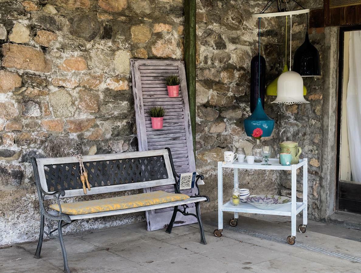 Casa Angiolina - Holidays - Dolce Letargo