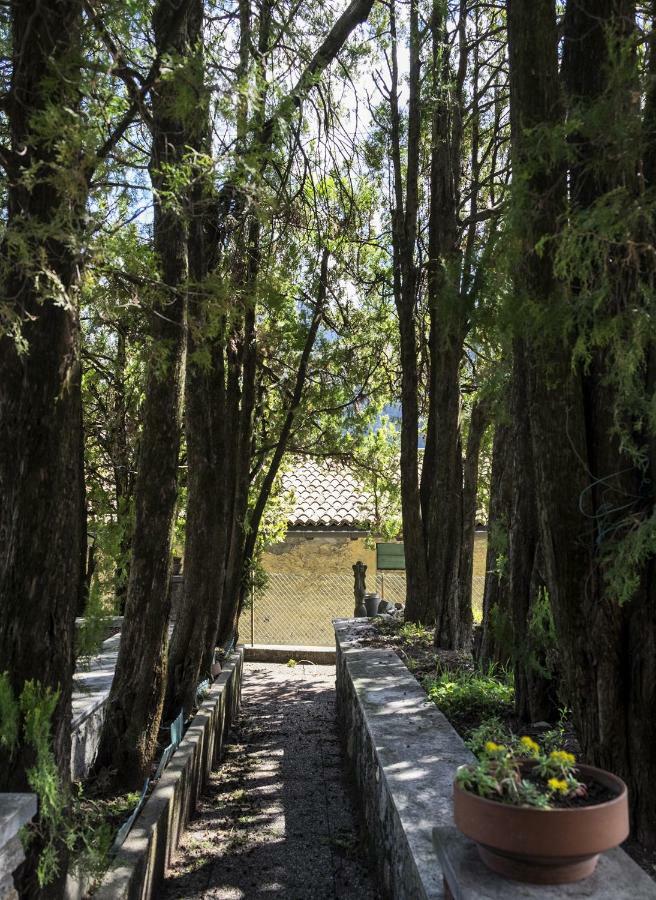Casa Angiolina - Holidays - Dolce Letargo * Morcote